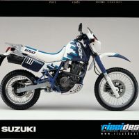 RizziDesign002_Suzuki-V-Strom-800-DE